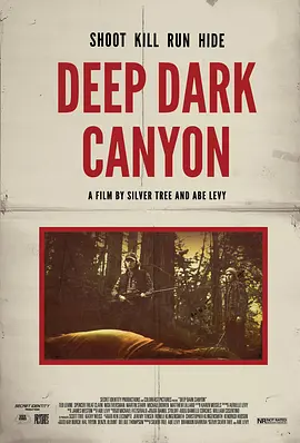 深黑峡谷的海报