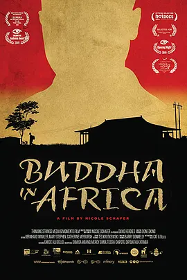 非洲佛陀视频封面