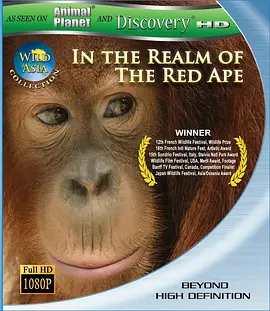 狂野亚洲:赤猿的领地
