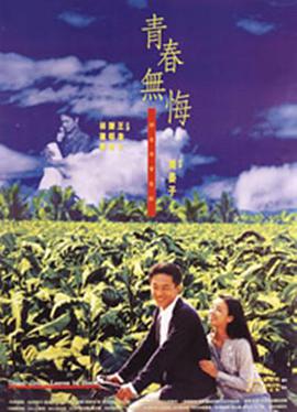 青春无悔1993视频封面