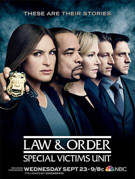法律与秩序:特殊受害者第十七季封面图片