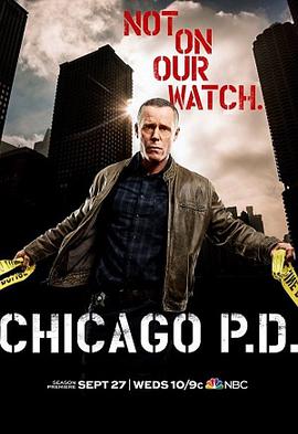 芝加哥警署第五季封面图片