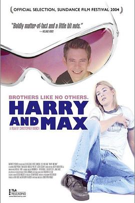 哈利与马克斯的海报