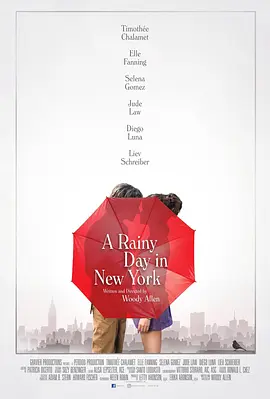 纽约的一个雨天封面图片