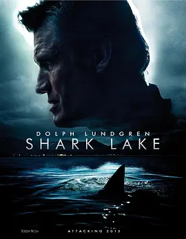 鲨鱼湖泊封面图片