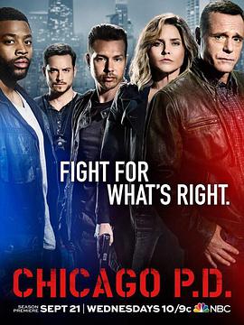 芝加哥警署第四季封面图片