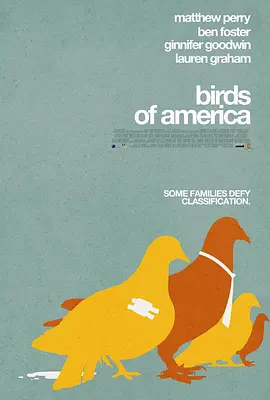 美国鸟类视频封面