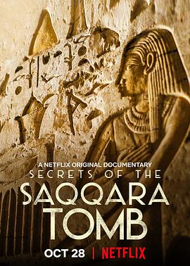 塞加拉陵墓揭秘封面图片
