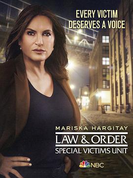 法律与秩序:特殊受害者第二十二季视频封面