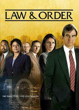 法律与秩序第十季封面图片