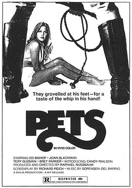 宠物 1973的海报