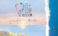 五十公里桃花坞2海报