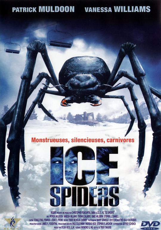 冰冻蜘蛛的海报