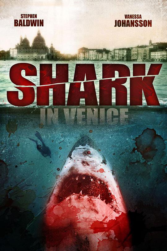 威尼斯之鲨封面图片