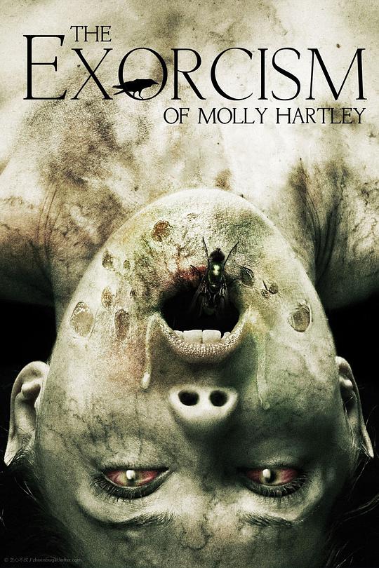 莫丽·哈特莉的驱魔视频封面