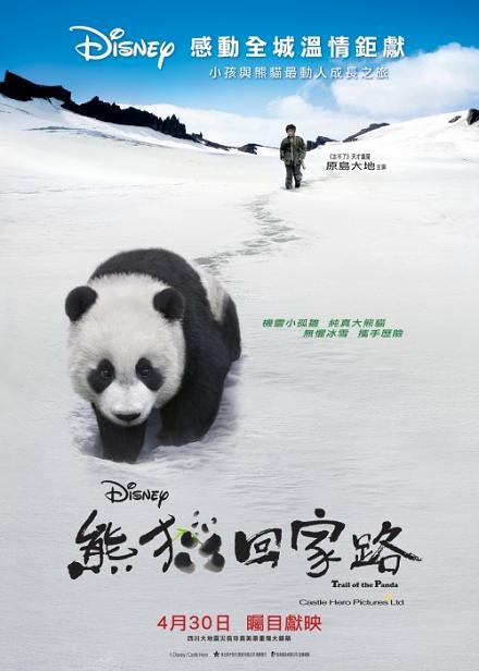 熊猫回家路封面图片