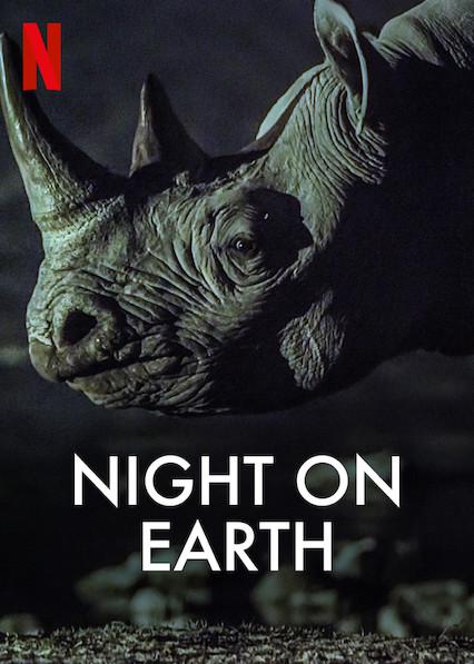 地球的夜晚视频封面