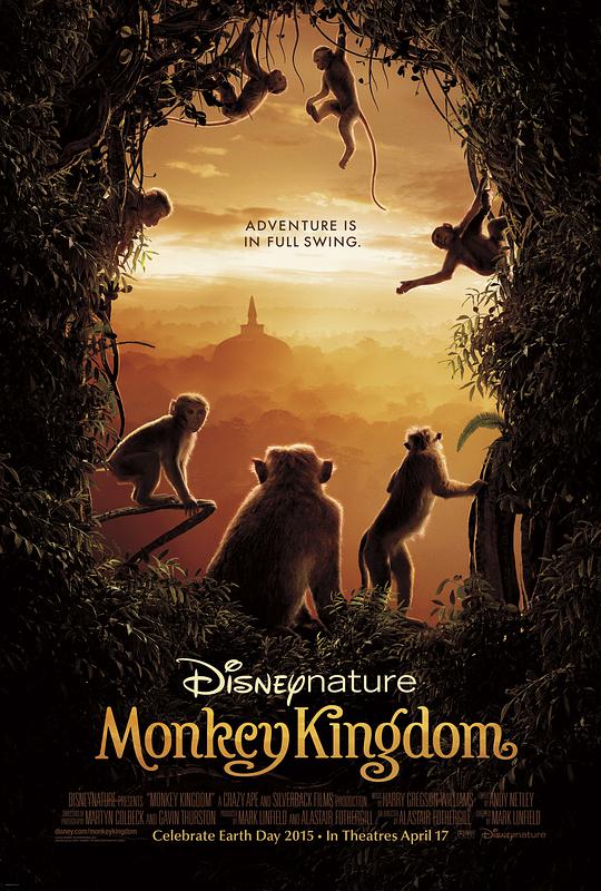 猴子王国视频封面