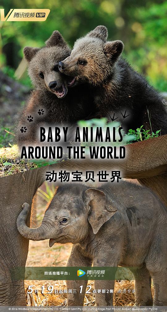 动物宝贝世界封面图片