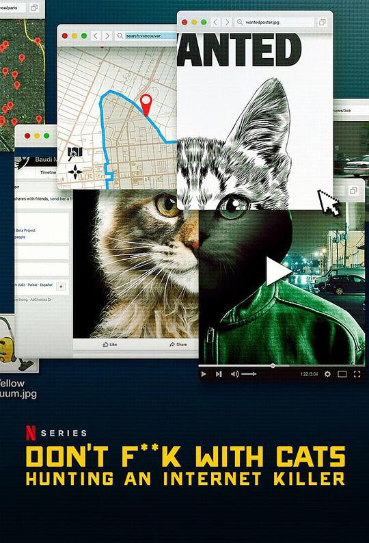 别惹猫咪:追捕虐猫者视频封面