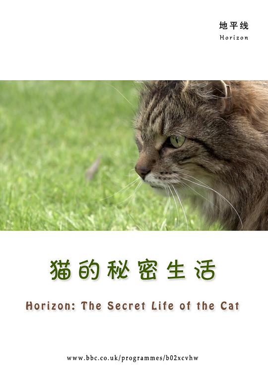 BBC地平线：猫的秘密生活的海报