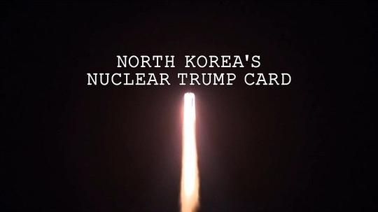 朝鲜核王牌封面图片