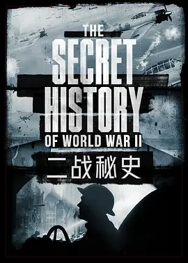 二战秘史封面图片