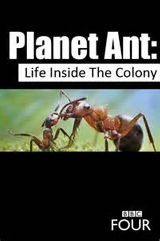 蚂蚁星球视频封面