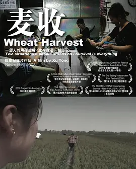 麦收视频封面