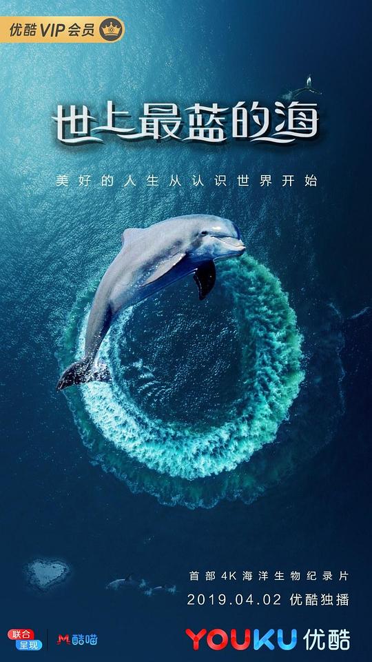 世上最蓝的海视频封面