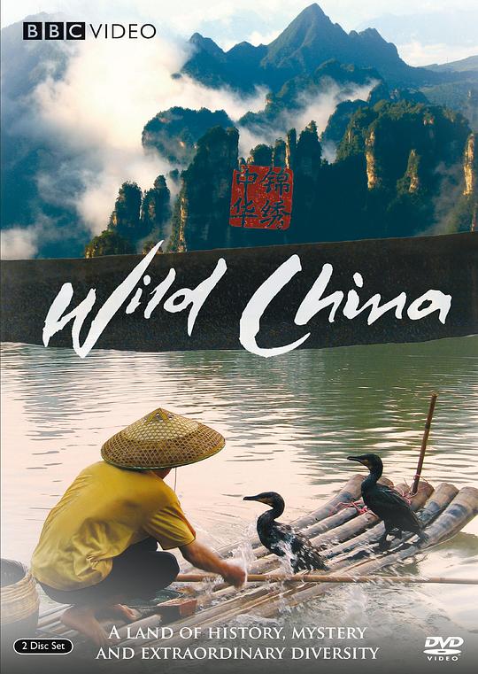 美丽中国视频封面