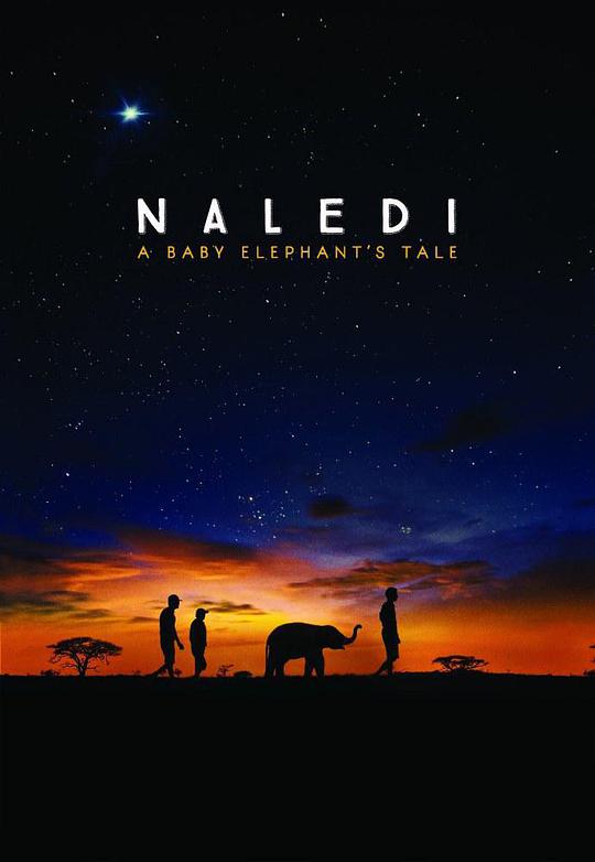 纳勒迪:一只小象的故事封面图片