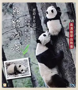 熊猫淘淘封面图片