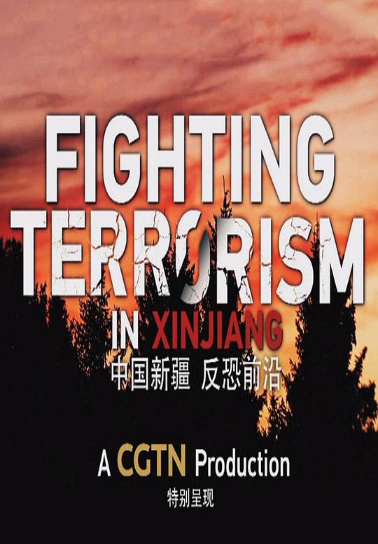 中国新疆反恐前沿封面图片