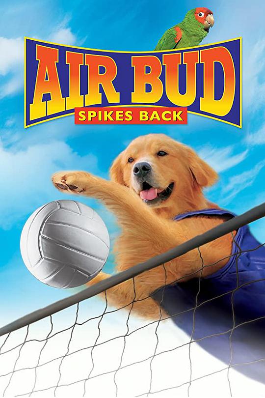 飞狗巴迪5：排球健将的海报