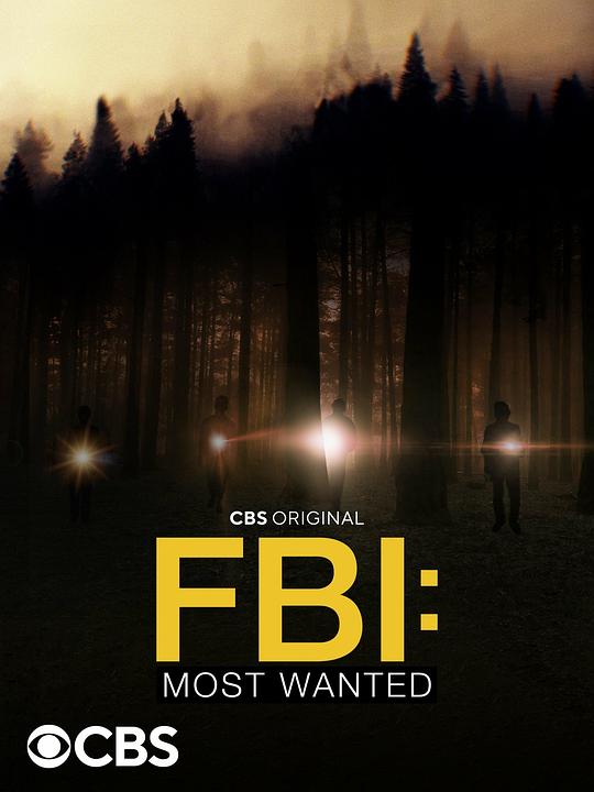 联邦调查局:通缉要犯第四季封面图片
