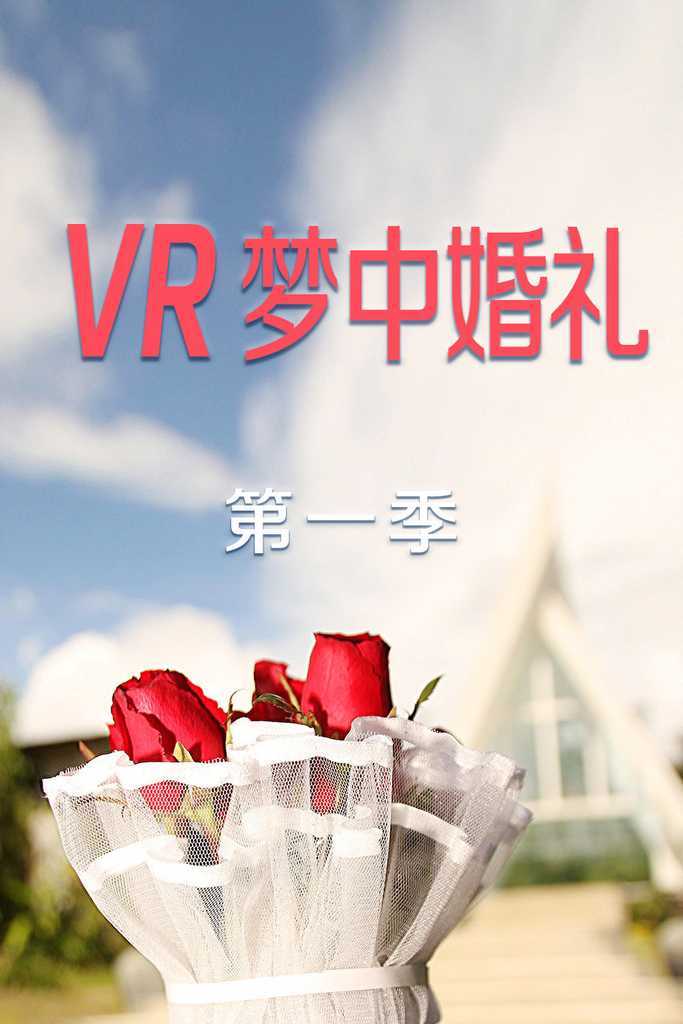 VR梦中婚礼   第一季 海报