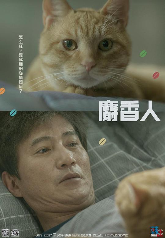 麝香猫人海报