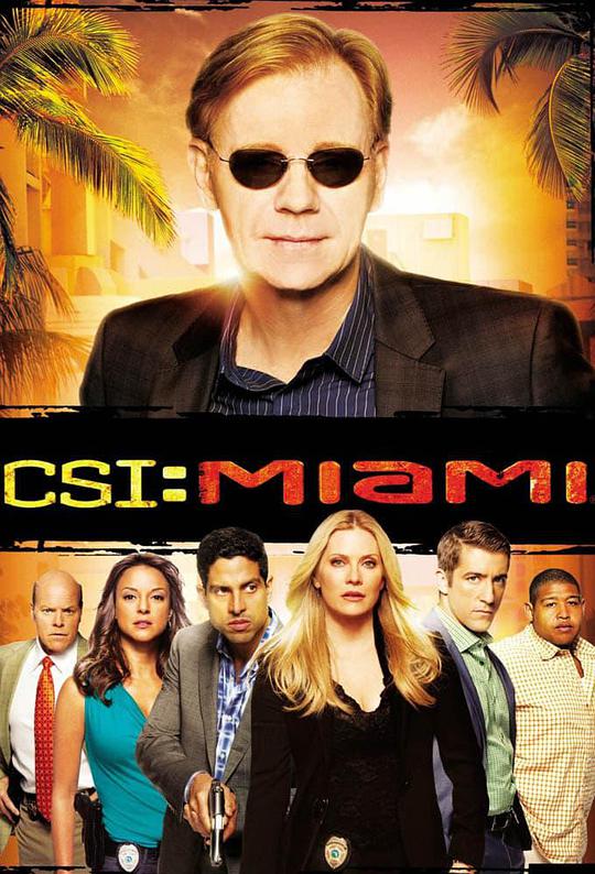 犯罪现场调查：迈阿密 第八季的海报