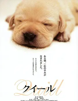 豆瓣8.7分，一部唯美的日本电影，治愈成年人的痛！