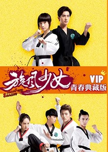 旋风少女第二季 VIP青春典藏版封面图片