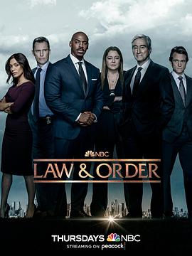法律与秩序第二十二季封面图片