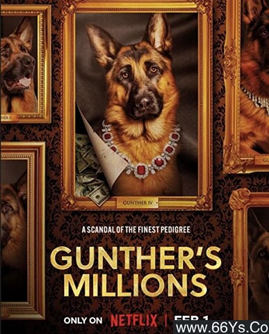 亿万富犬封面图片