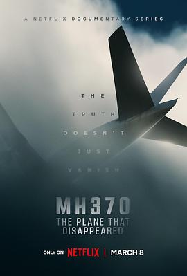 MH370:消失的航班封面图片