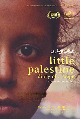 小巴勒斯坦——围城日记封面图片
