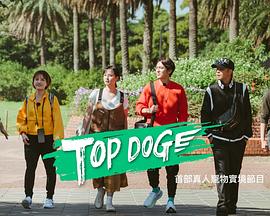 TOP DOG封面图片