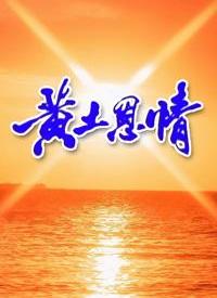 黄土恩情海报