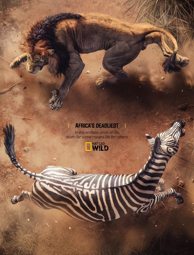 非洲致命动物第六季封面图片