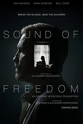 自由之声视频封面